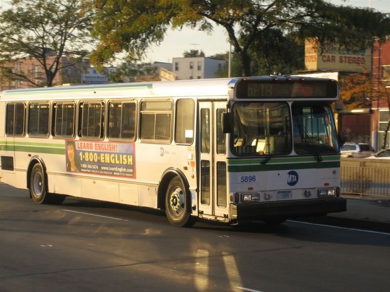 Queens Blvd pics. Bus Photos & Videos NYC Transit Forums